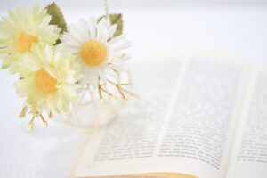 ホームページの内部対策ポイント