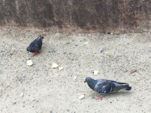 404ページがあったなら