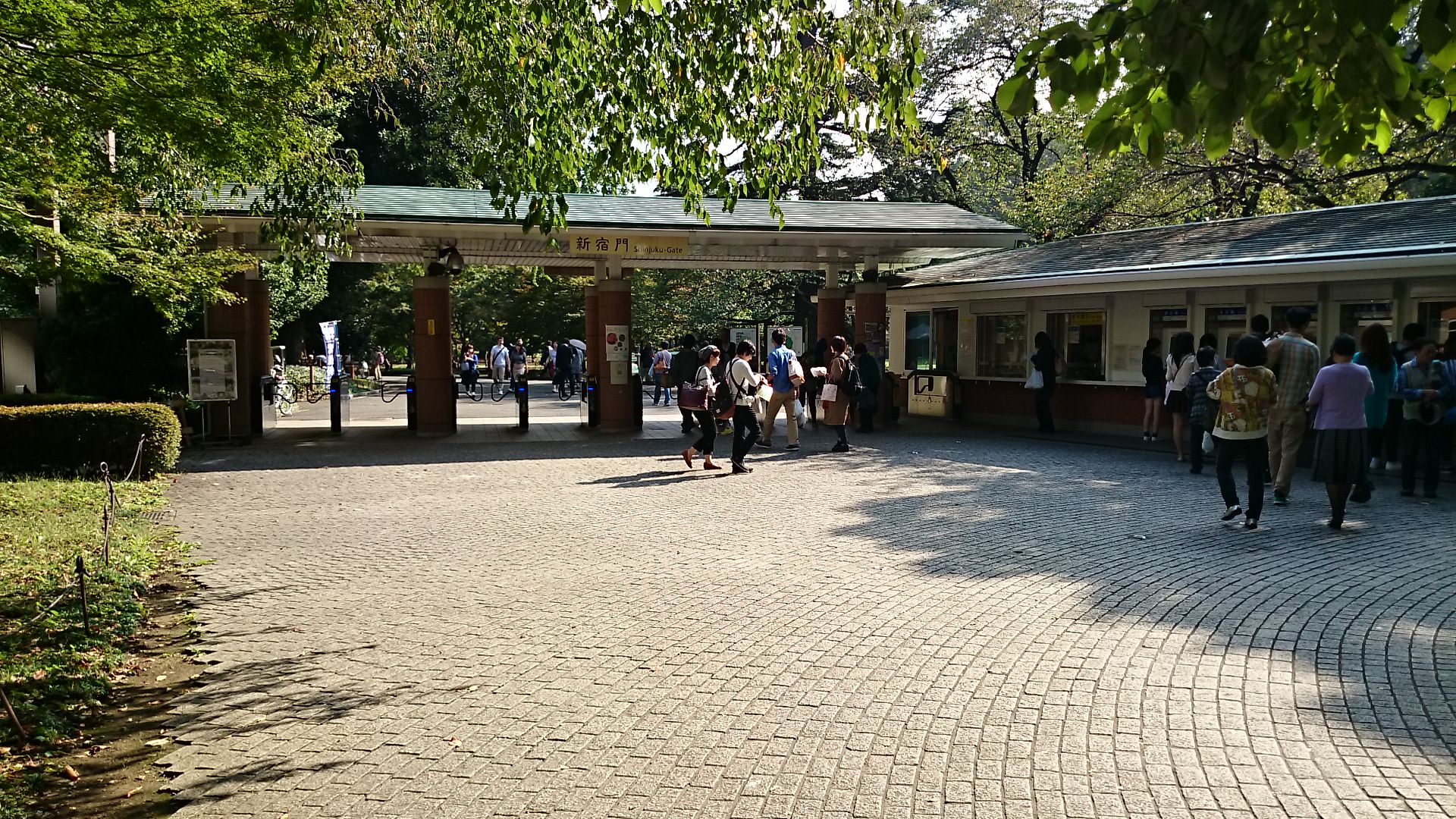 wp-1414211905503 image