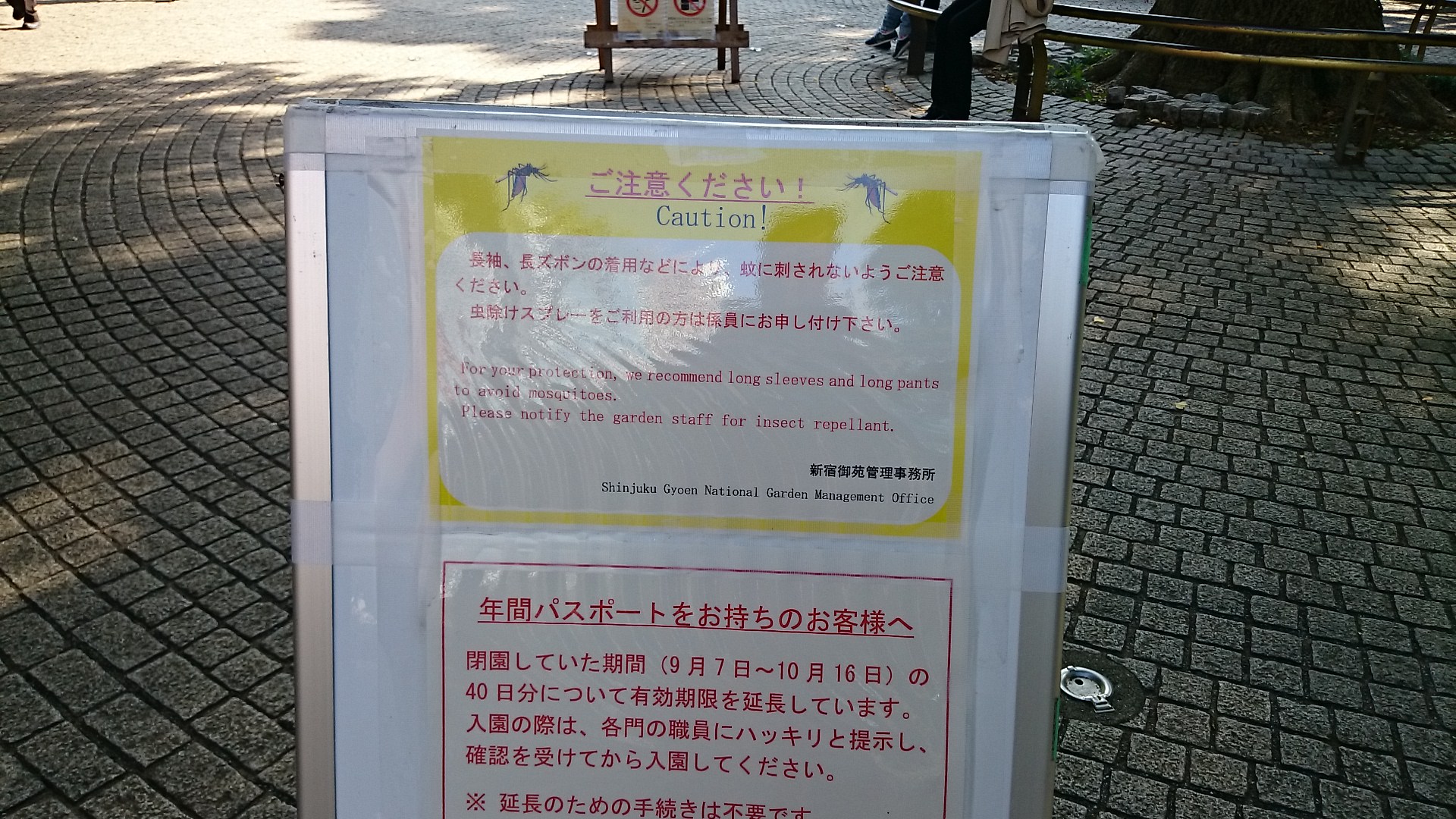 wp-1414212381035 image