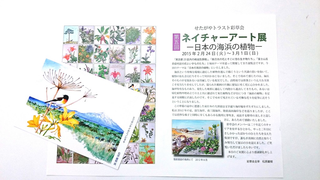 パンフレット・はがき