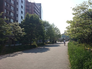 新宿御苑 新宿口手前