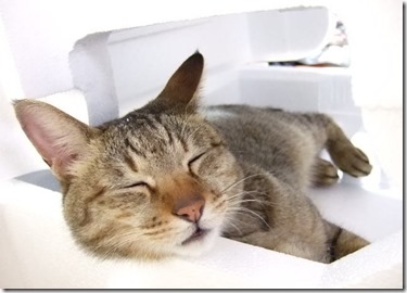 495883e0dcf0f4da929a063b4b872d93_s