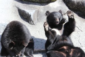 時流にのってPR集客