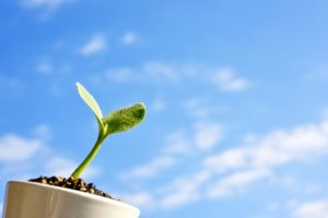 PRの起源は19世紀アメリカ