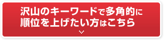 沢山のキーワードで多角的に順位を上げたい方はこちら