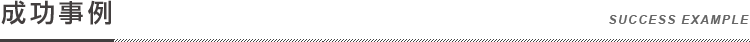 成功事例